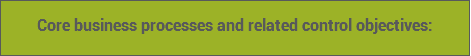 Core business processes and related control objectives: